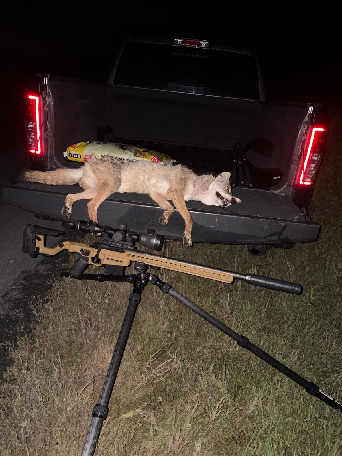 Bolt-action rifle with the Enticer L-Ti suppressor on a tripod in front of a truck tailgate holding a coyote at night