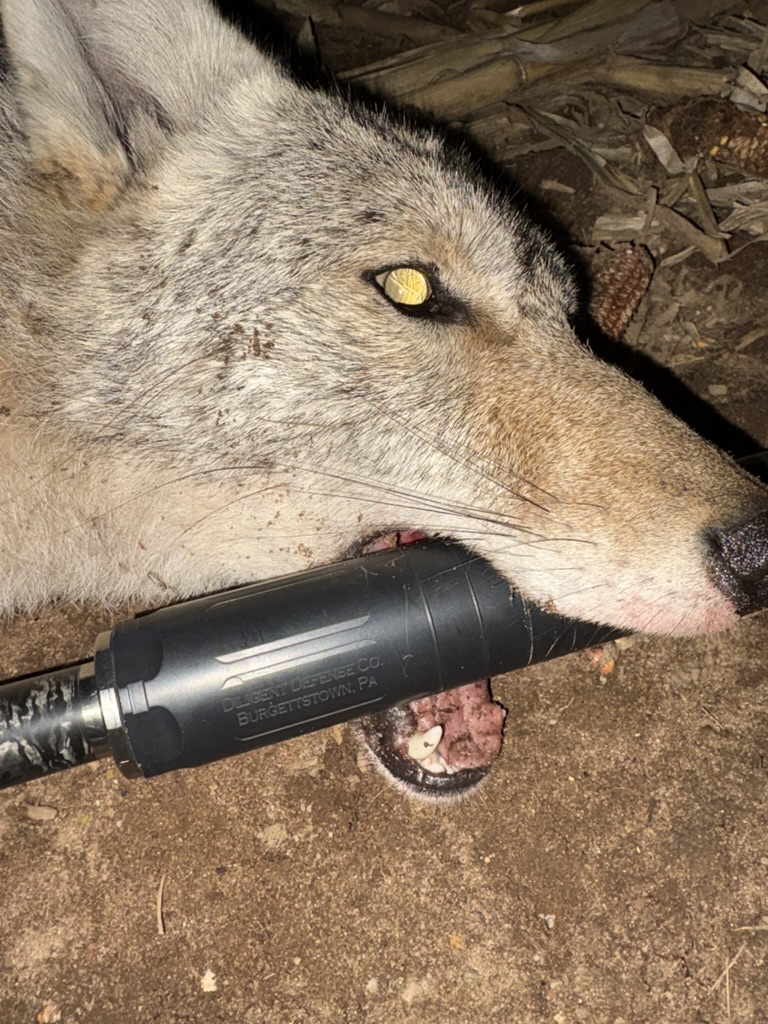 Close-up of the Enticer L-Ti suppressor engraved Diligent Defense Co, Burgettstown PA, lying beside a coyote